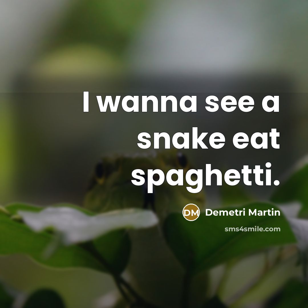 “I wanna see a snake eat spaghetti.…” quote by Demetri Martin