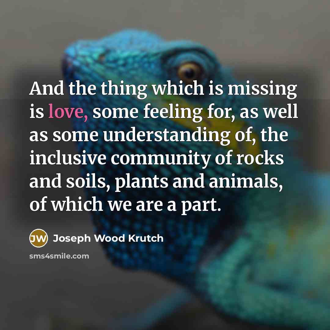 “And the thing which is missing is love, some feeling…” quote by Joseph Wood Krutch