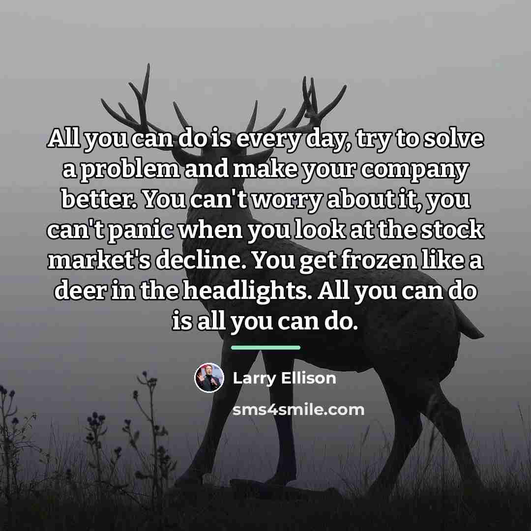 “All you can do is every day, try to solve…” quote by Larry Ellison