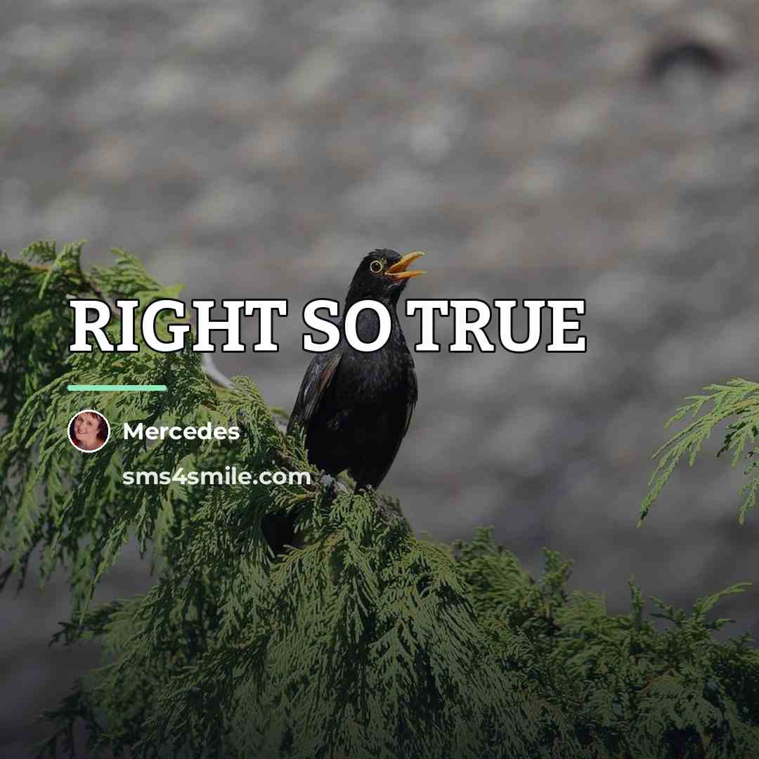 “RIGHT SO TRUE…” quote by Mercedes