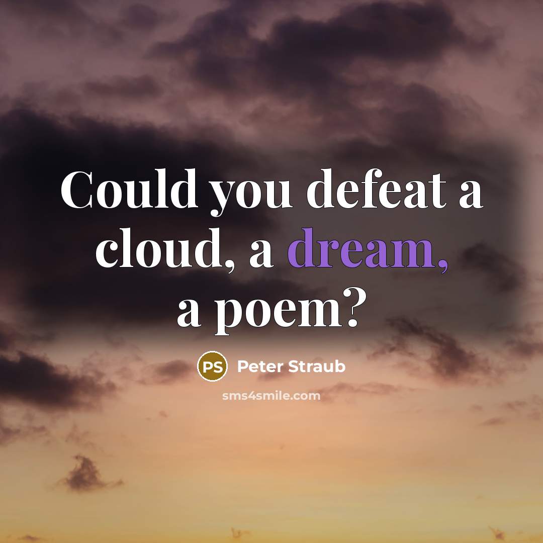 “Could you defeat a cloud, a dream, a poem?” quote by Peter Straub
