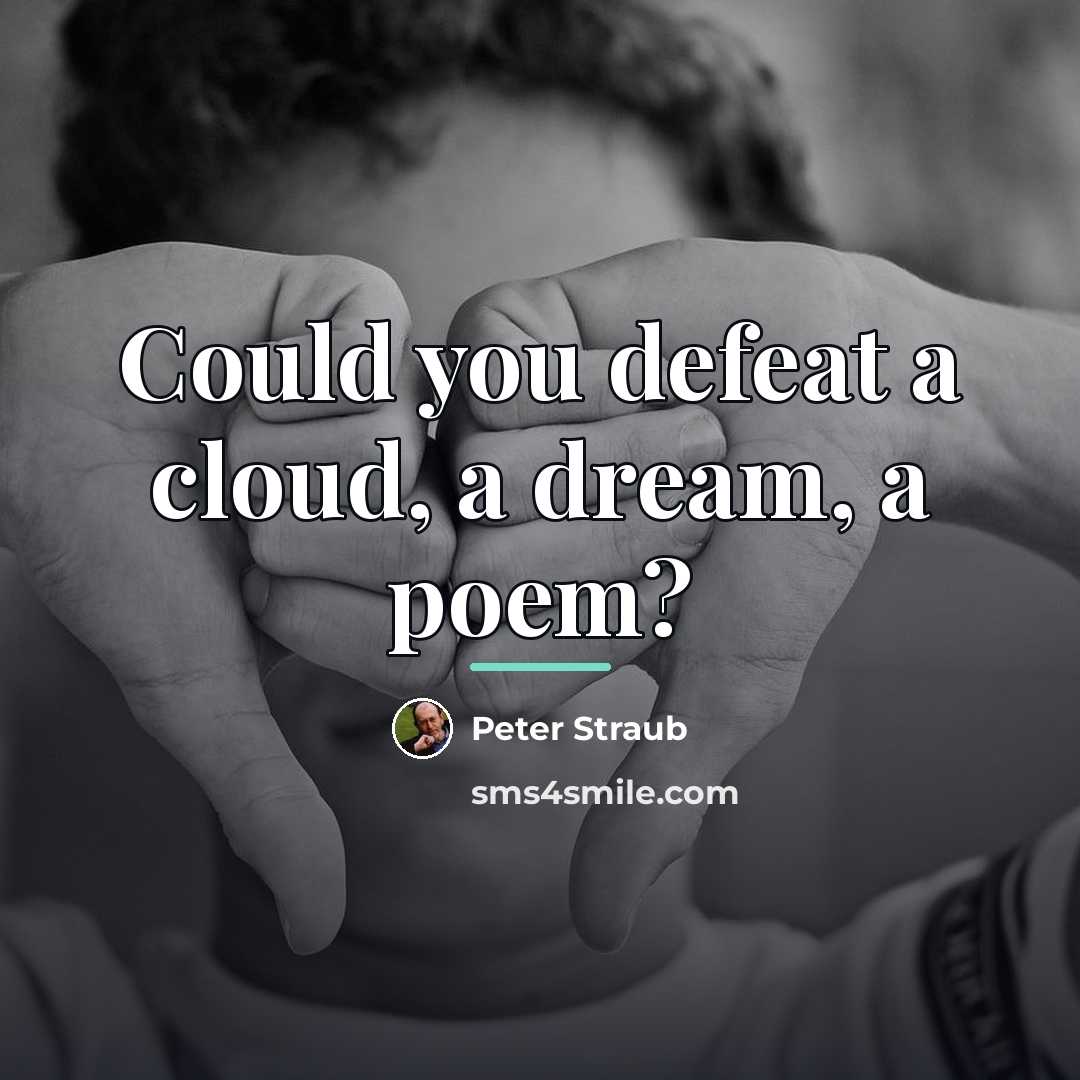 “Could you defeat a cloud, a dream, a poem?…” quote by Peter Straub