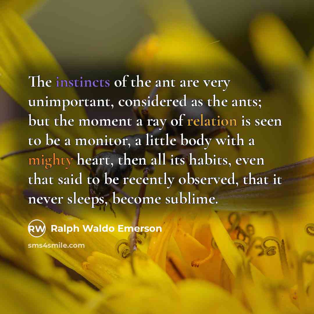 “The instincts of the ant are very unimportant, considered as…” quote by Ralph Waldo Emerson