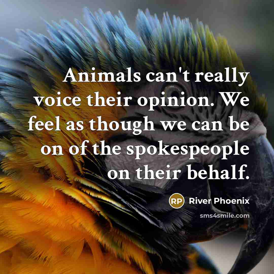 “Animals can't really voice their opinion. We feel as though…” quote by River Phoenix