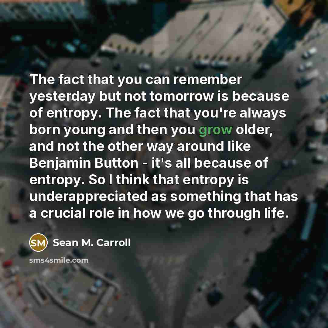 “The fact that you can remember yesterday but not tomorrow…” quote by Sean M. Carroll