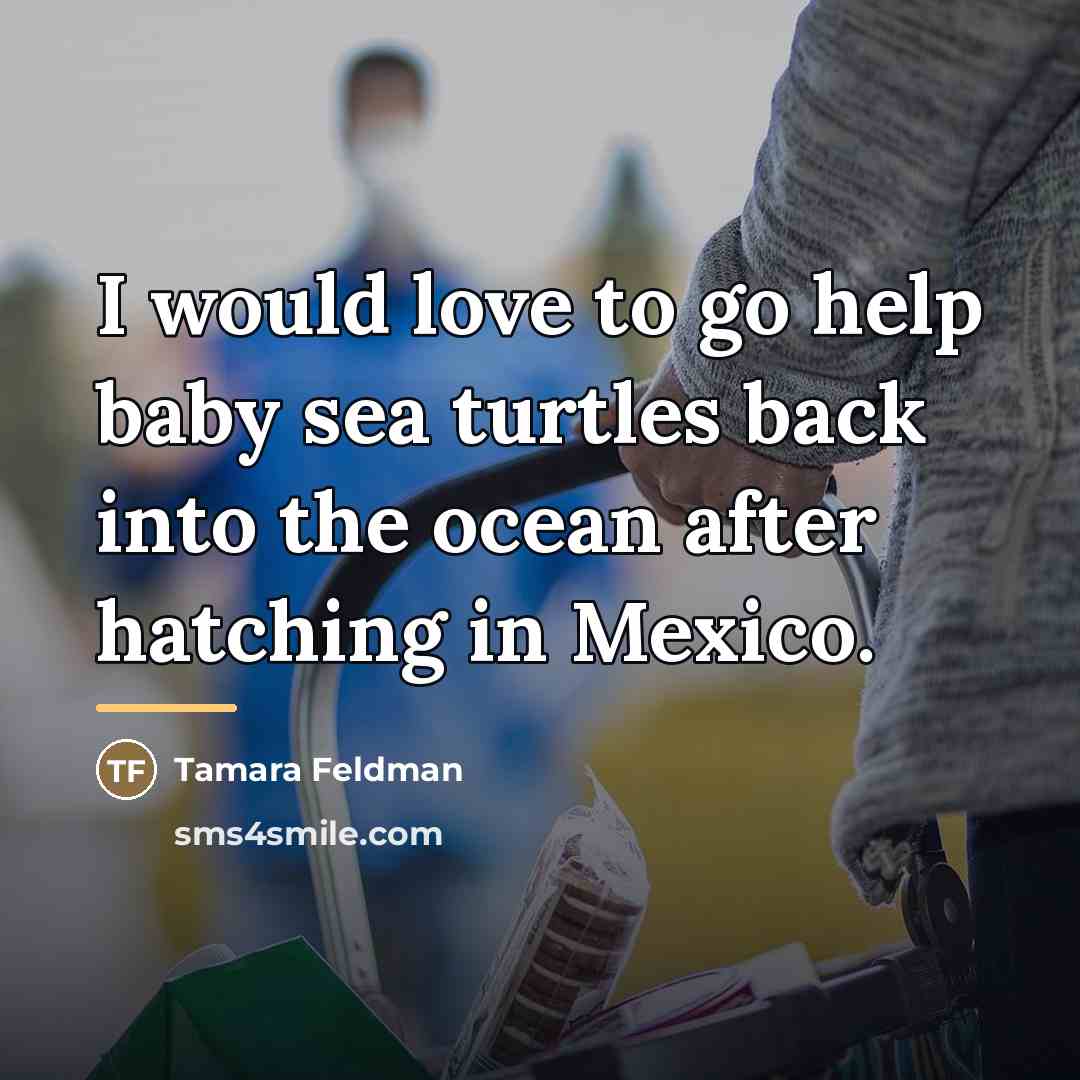 “I would love to go help baby sea turtles back…” quote by Tamara Feldman