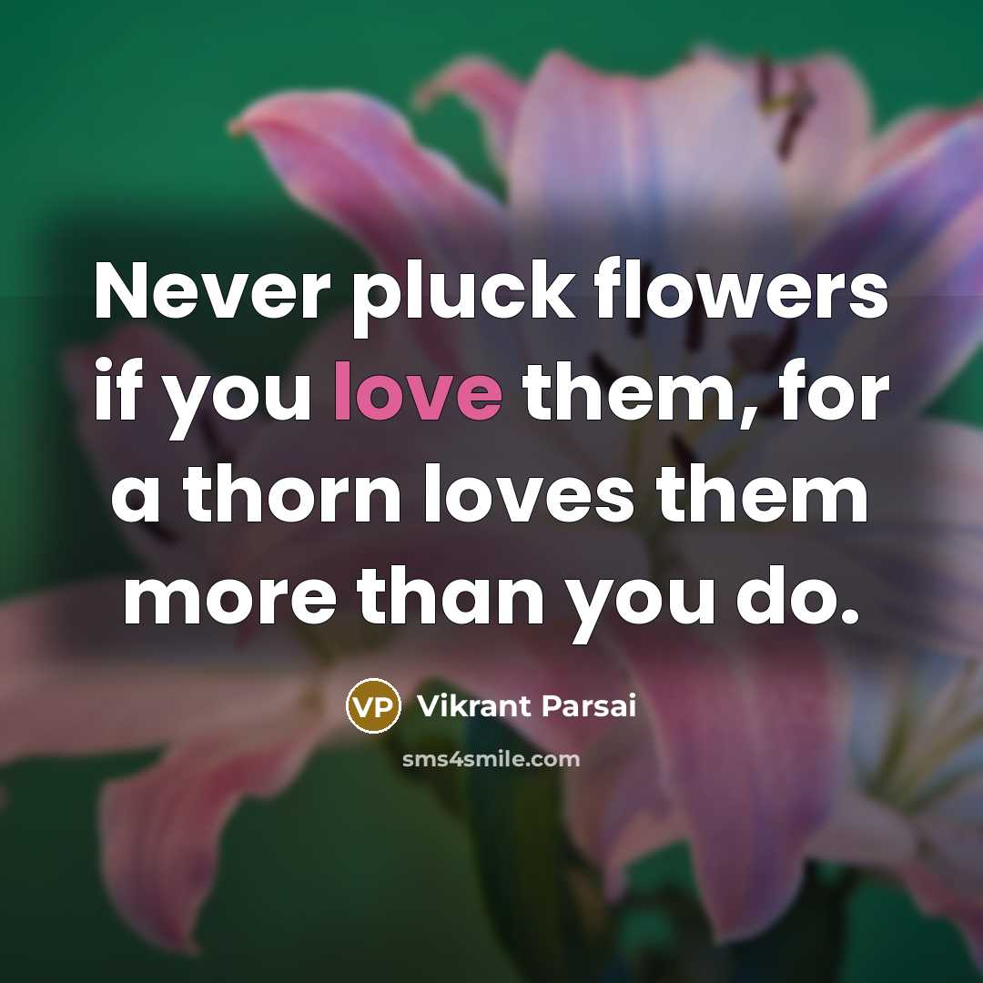 “Never pluck flowers if you love them, for a thorn…” quote by Vikrant Parsai