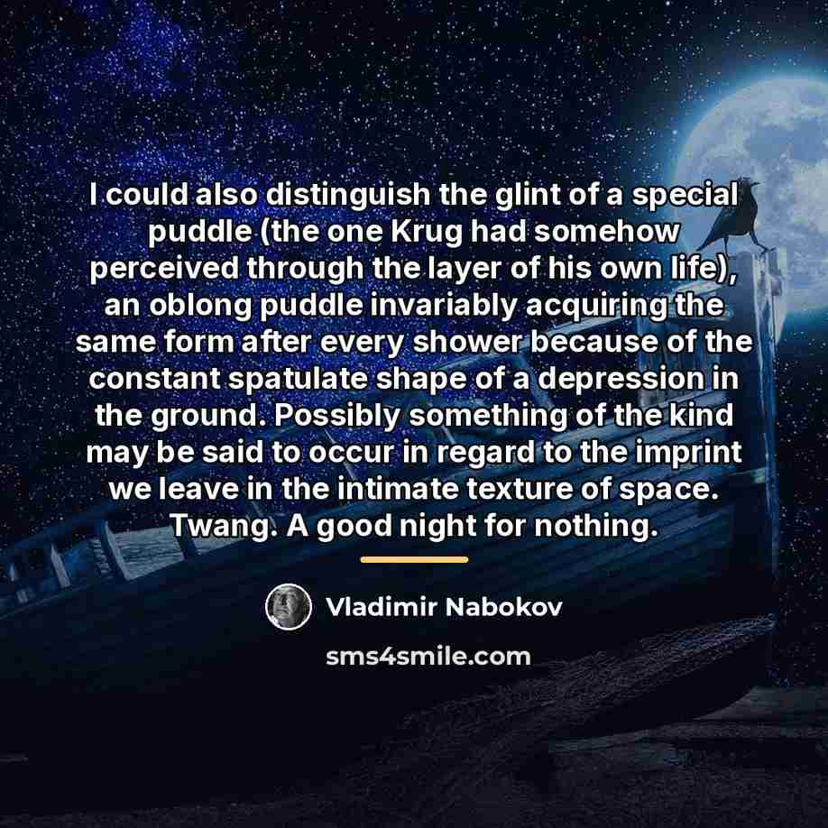 “I could also distinguish the glint of a special puddle…” quote by Vladimir Nabokov