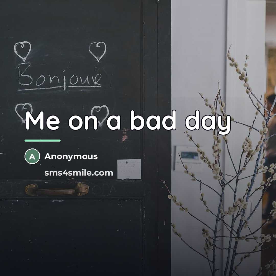 “Me on a bad day…” quote by Anonymous
