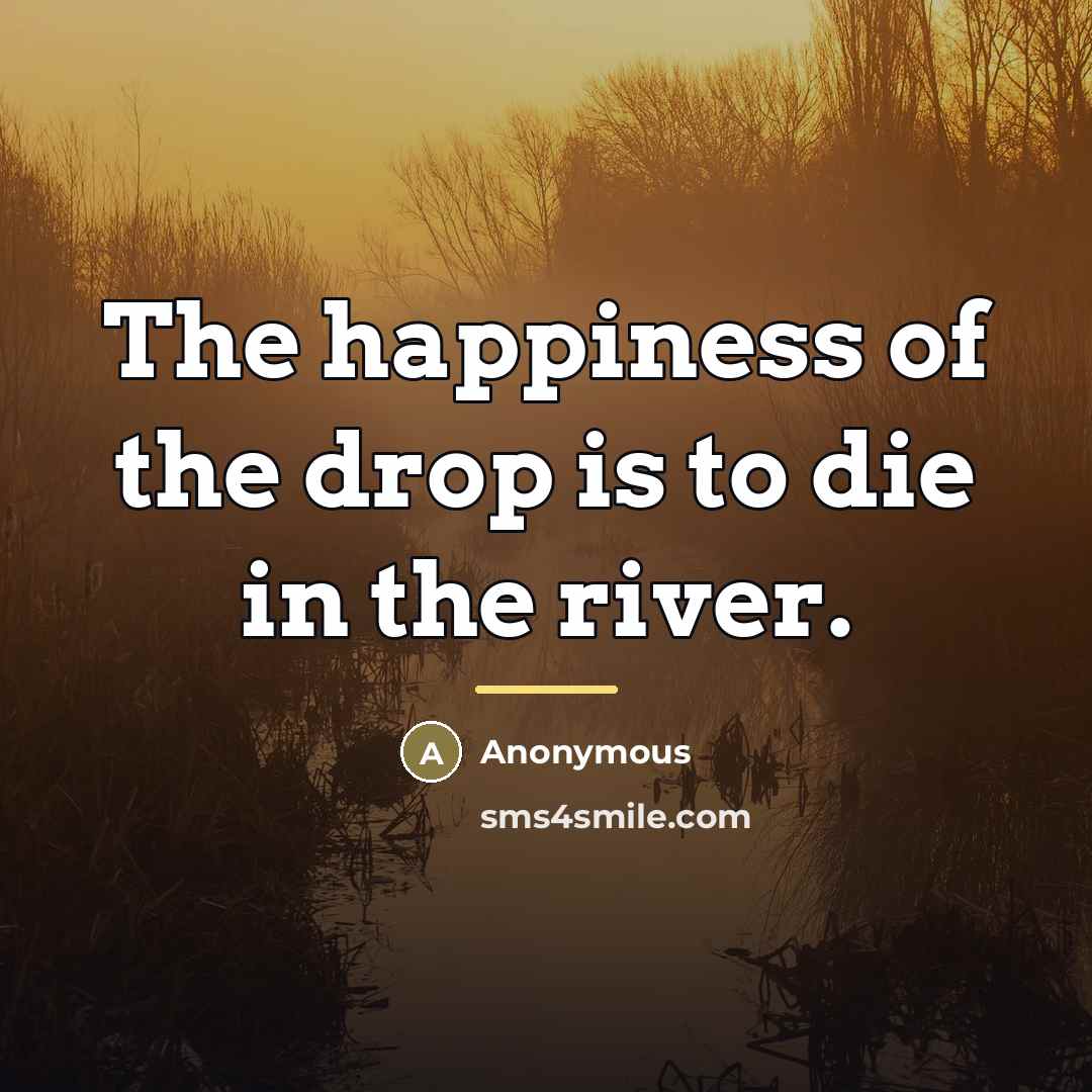 “The happiness of the drop is to die in the…” quote by Anonymous