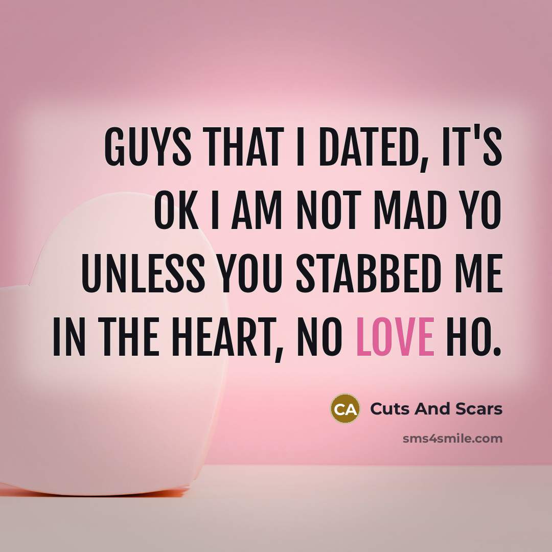 “Guys that I dated, it's ok I am not mad yo Unless you stabbed me in the heart, no love ho.” quote by Cuts And Scars