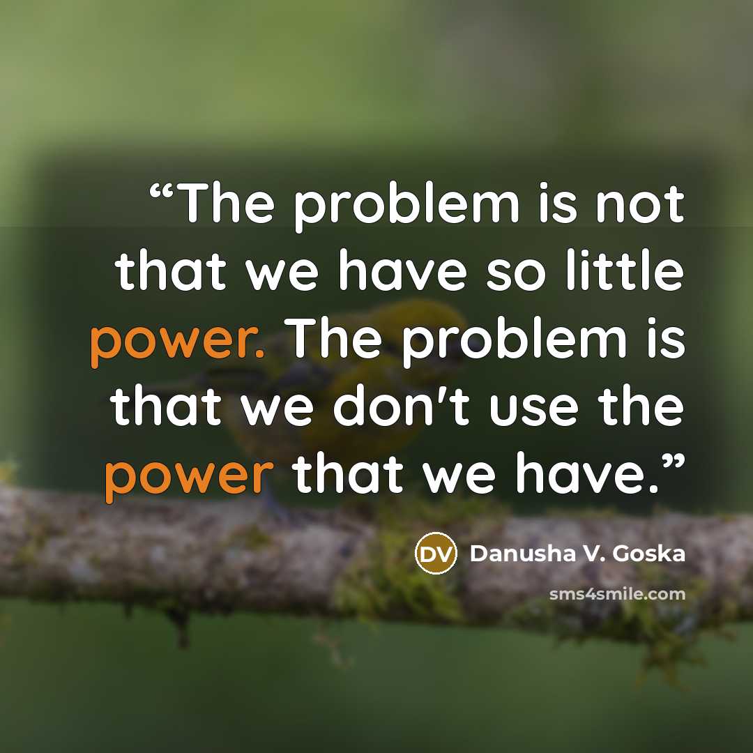 “The problem is not that we have so little power. The problem is that we don't use the power that we have.” quote by Danusha V. Goska