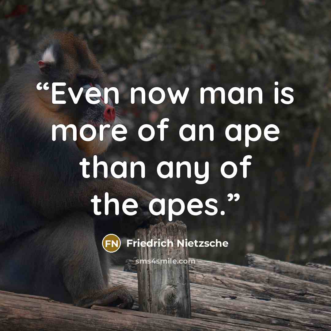 “Even now man is more of an ape than any of the apes.” quote by Friedrich Nietzsche