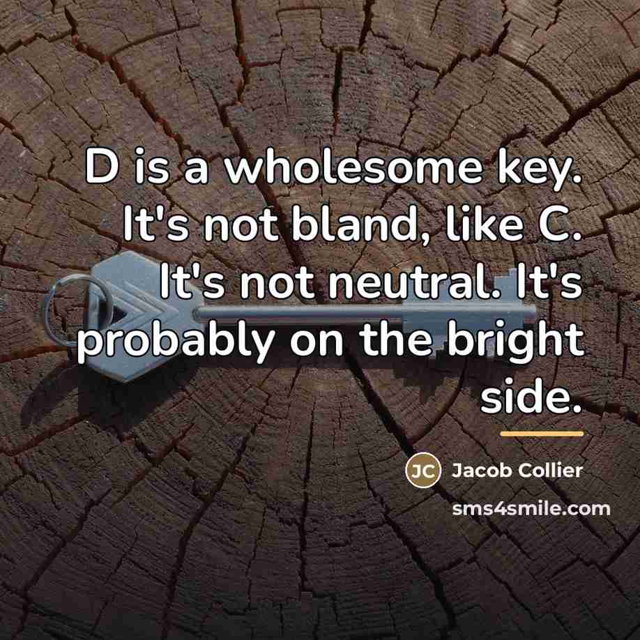 “D is a wholesome key. It's not bland, like C.…” quote by Jacob Collier