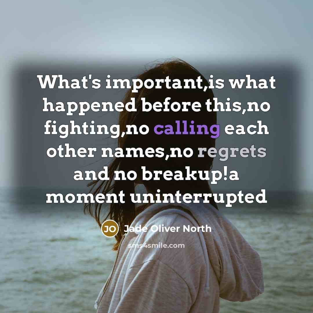 “What's important,is what happened before this,no fighting,no calling each other names,no regrets and no breakup!a moment uninterrupted” quote by Jade Oliver North