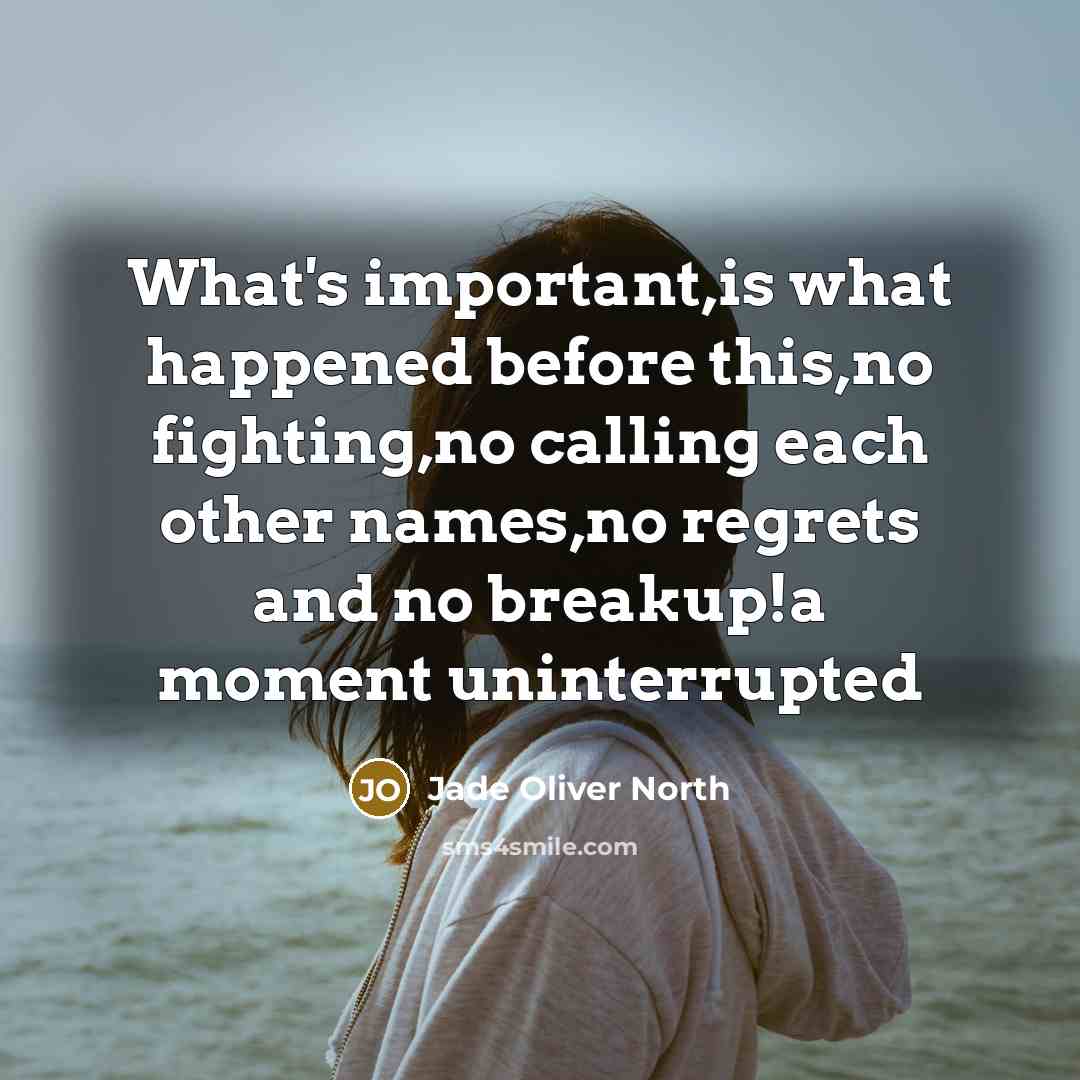 “What's important,is what happened before this,no fighting,no calling each other…” quote by Jade Oliver North