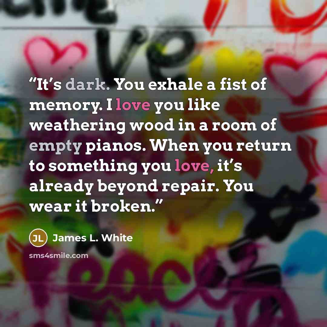 “It’s dark. You exhale a fist of memory. I love you like weathering wood in a room of empty pianos. When you return to something you love, it’s already beyond repair. You wear it broken.” quote by James L. White