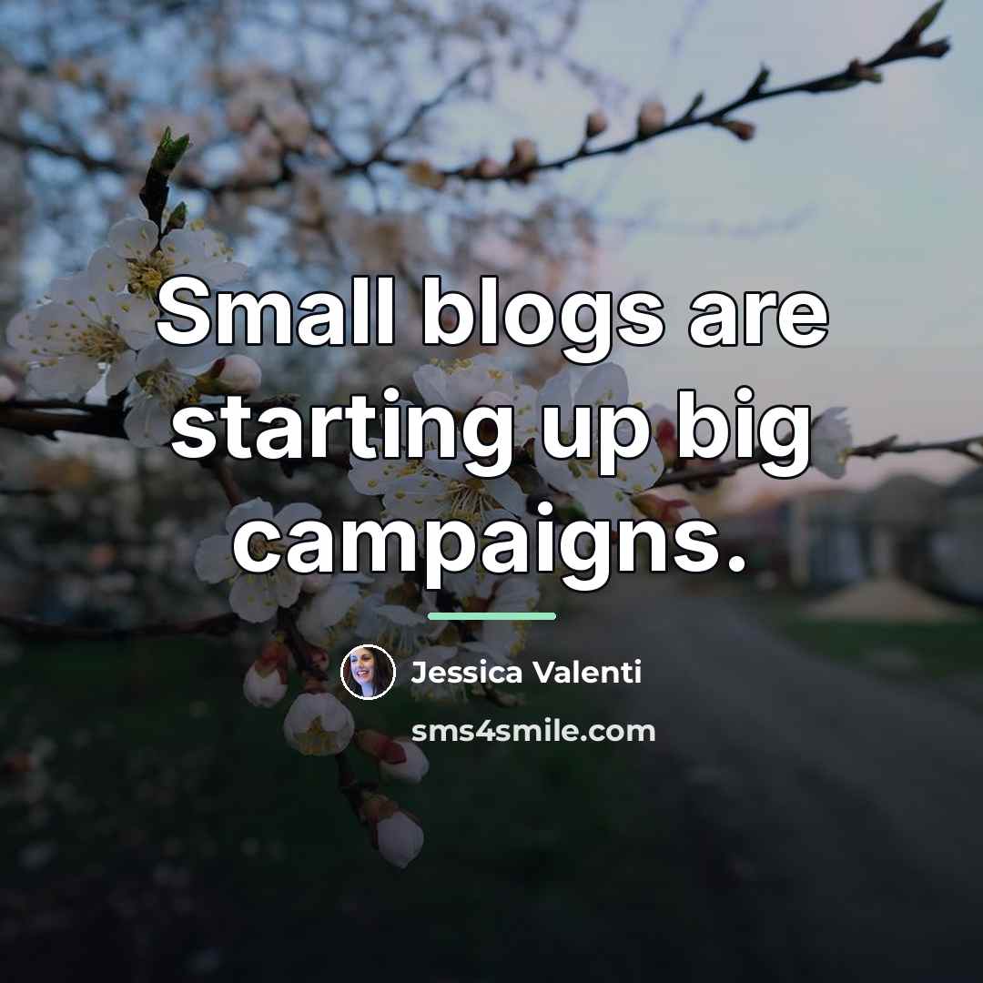 “Small blogs are starting up big campaigns.…” quote by Jessica Valenti