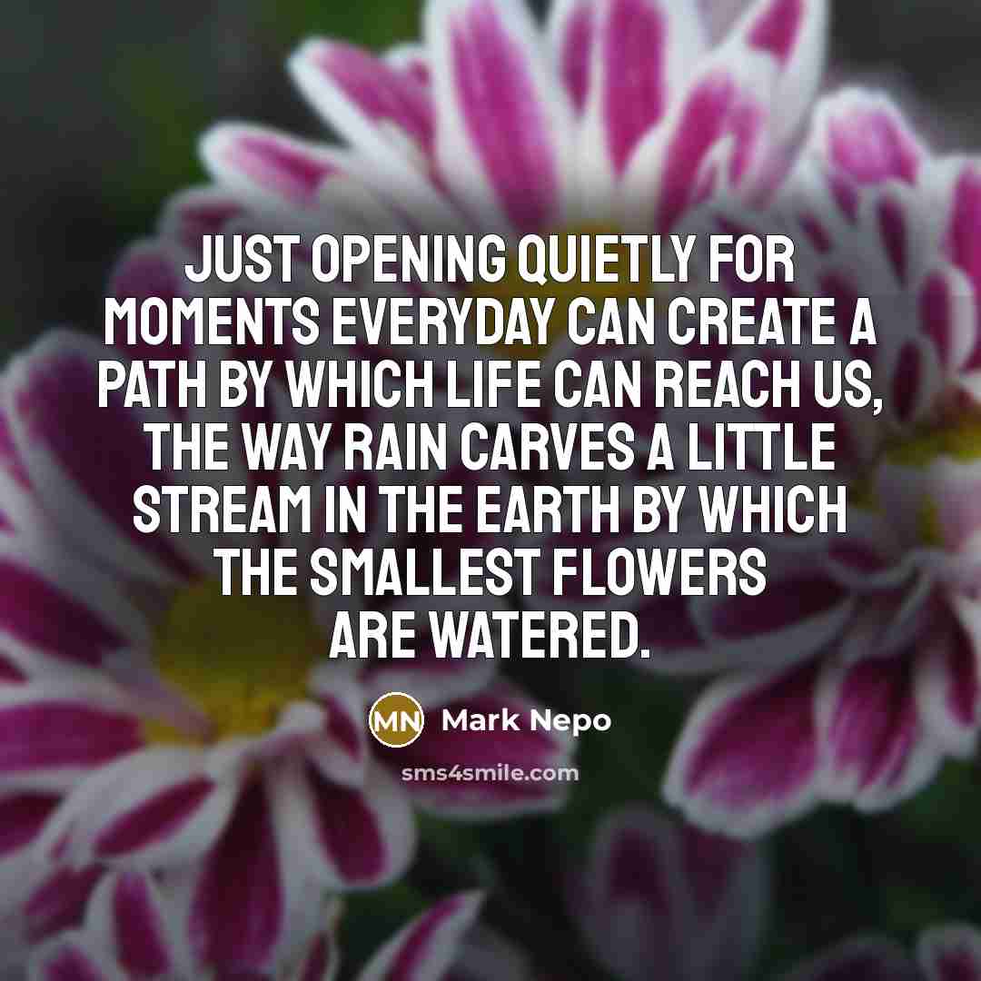 “Just opening quietly for moments everyday can create a path…” quote by Mark Nepo