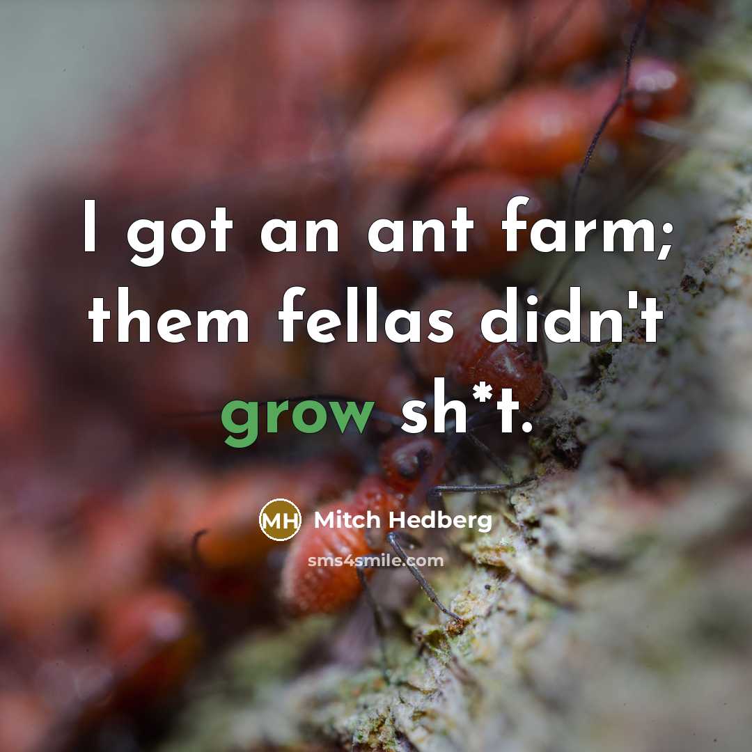“I got an ant farm; them fellas didn't grow sh*t.…” quote by Mitch Hedberg