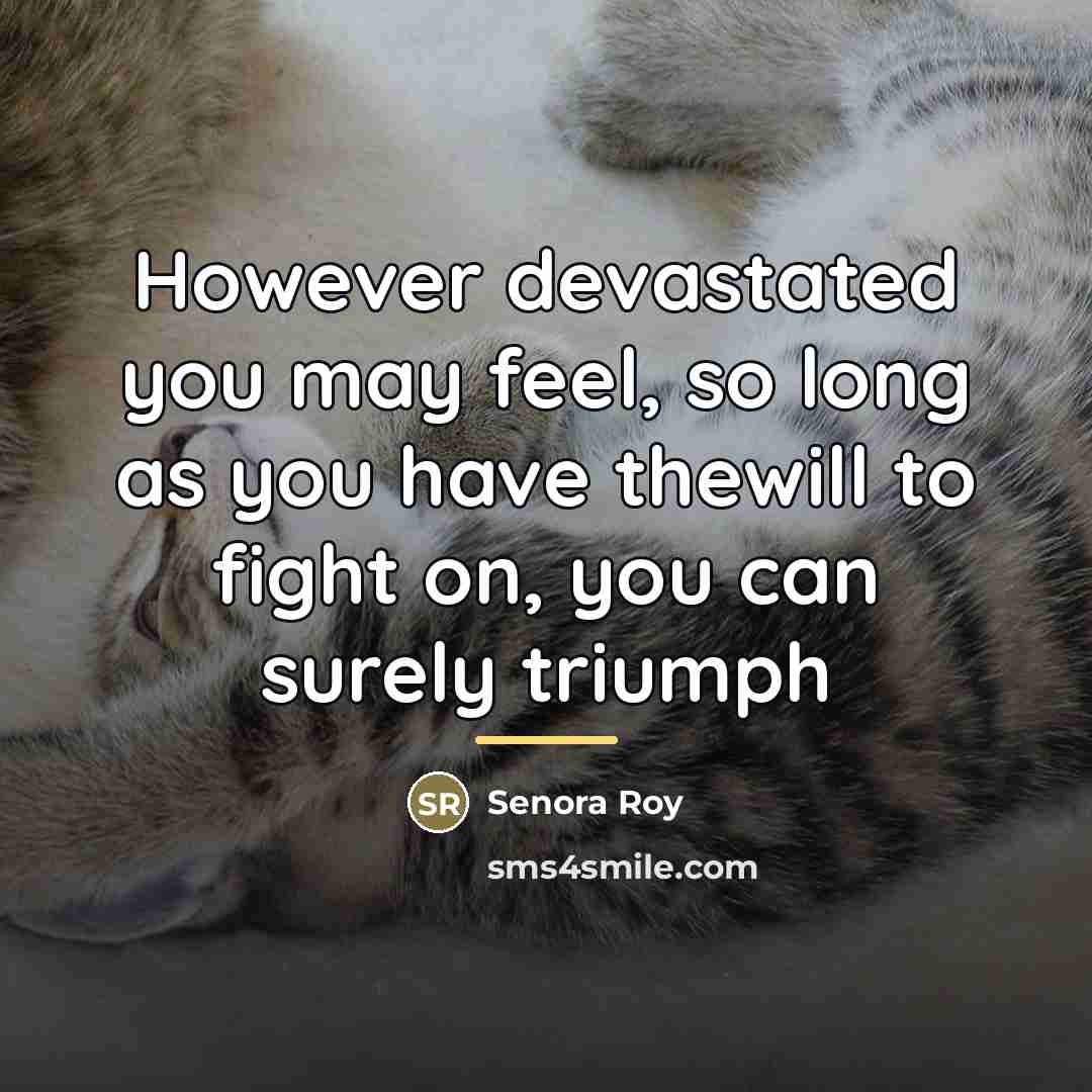 “However devastated you may feel, so long as you have…” quote by Senora Roy