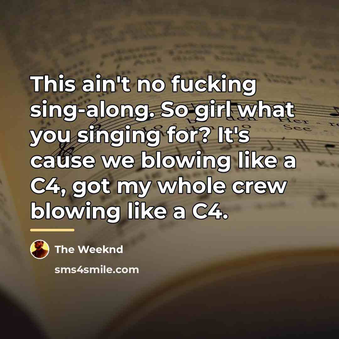 “This ain't no fucking sing-along. So girl what you singing…” quote by The Weeknd