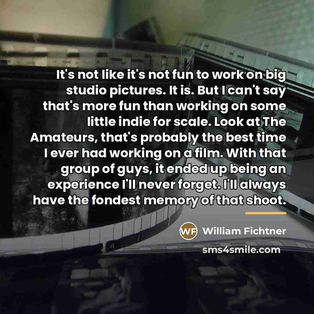 “It's not like it's not fun to work on big…” quote by William Fichtner