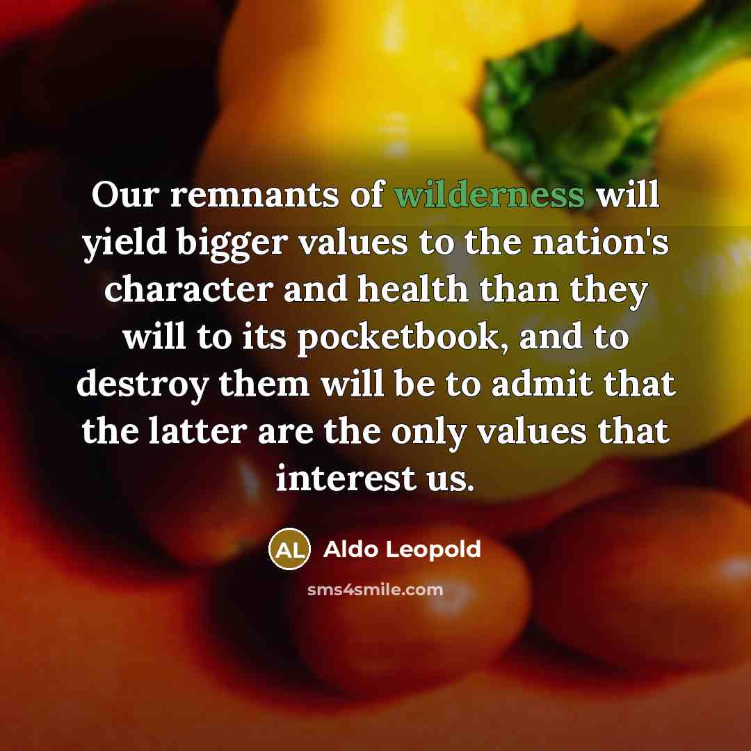 “Our remnants of wilderness will yield bigger values to the…” quote by Aldo Leopold