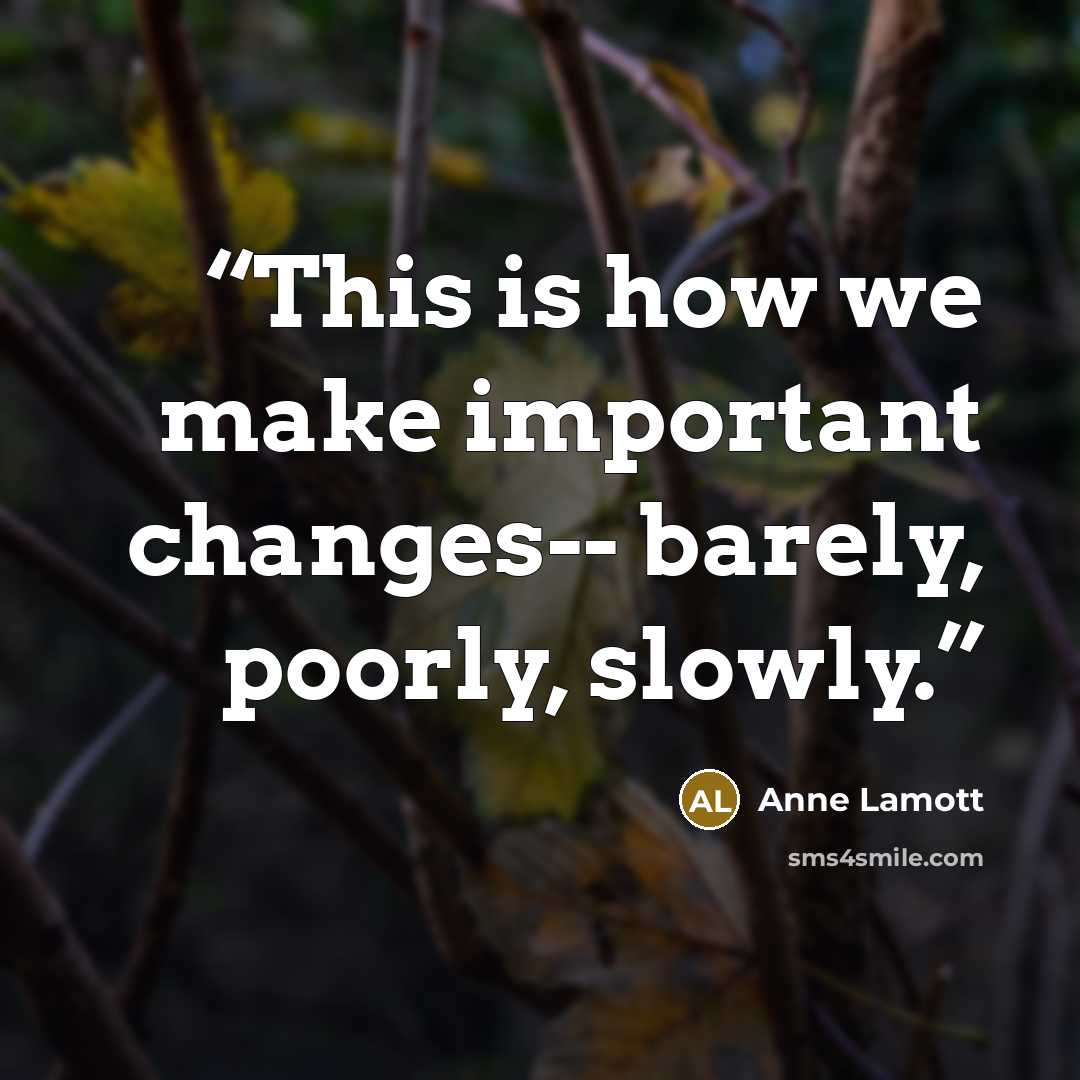 “This is how we make important changes-- barely, poorly, slowly.” quote by Anne Lamott