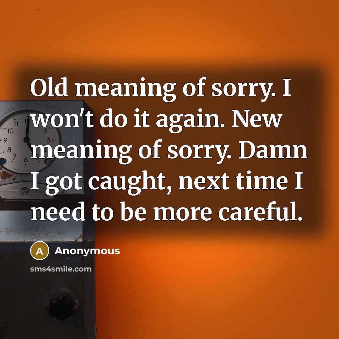 “Old meaning of sorry. I won't do it again. New meaning of sorry. Damn I got caught, next time I need to be more careful.” quote by Anonymous
