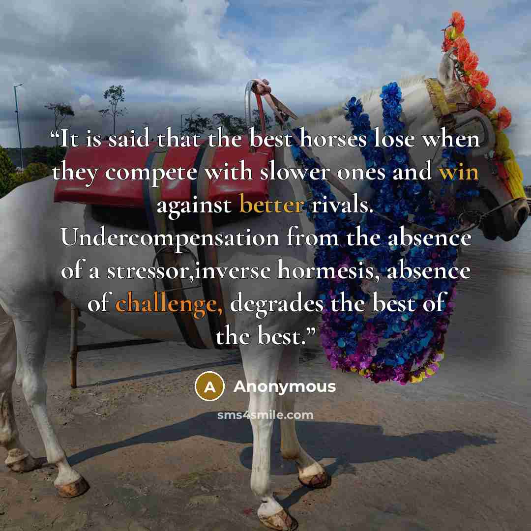 “It is said that the best horses lose when they compete with slower ones and win against better rivals. Undercompensation from the absence of a stressor,inverse hormesis, absence of challenge, degrades the best of the best.” quote by Anonymous