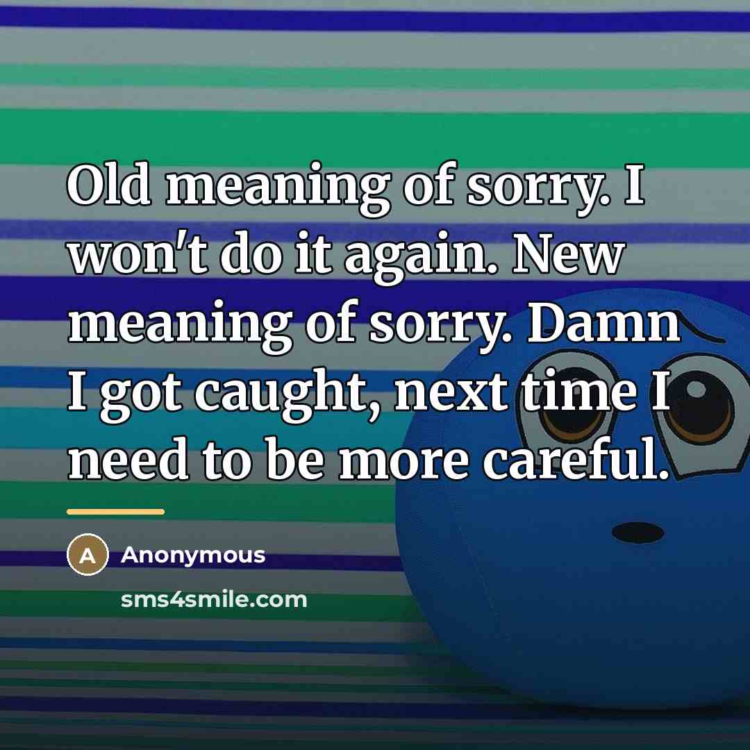 “Old meaning of sorry. I won't do it again. New…” quote by Anonymous
