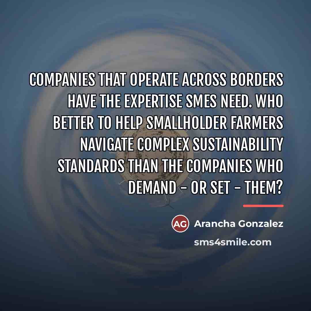 “Companies that operate across borders have the expertise SMEs need.…” quote by Arancha Gonzalez
