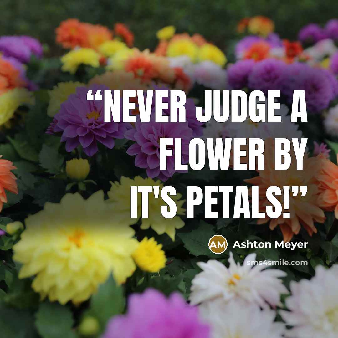 “Never judge a flower by it's petals!” quote by Ashton Meyer