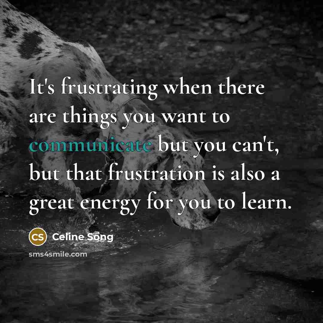 “It's frustrating when there are things you want to communicate…” quote by Celine Song