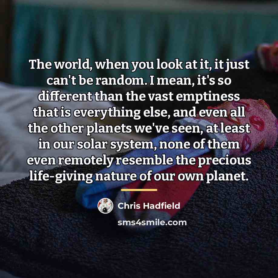 “The world, when you look at it, it just can't…” quote by Chris Hadfield