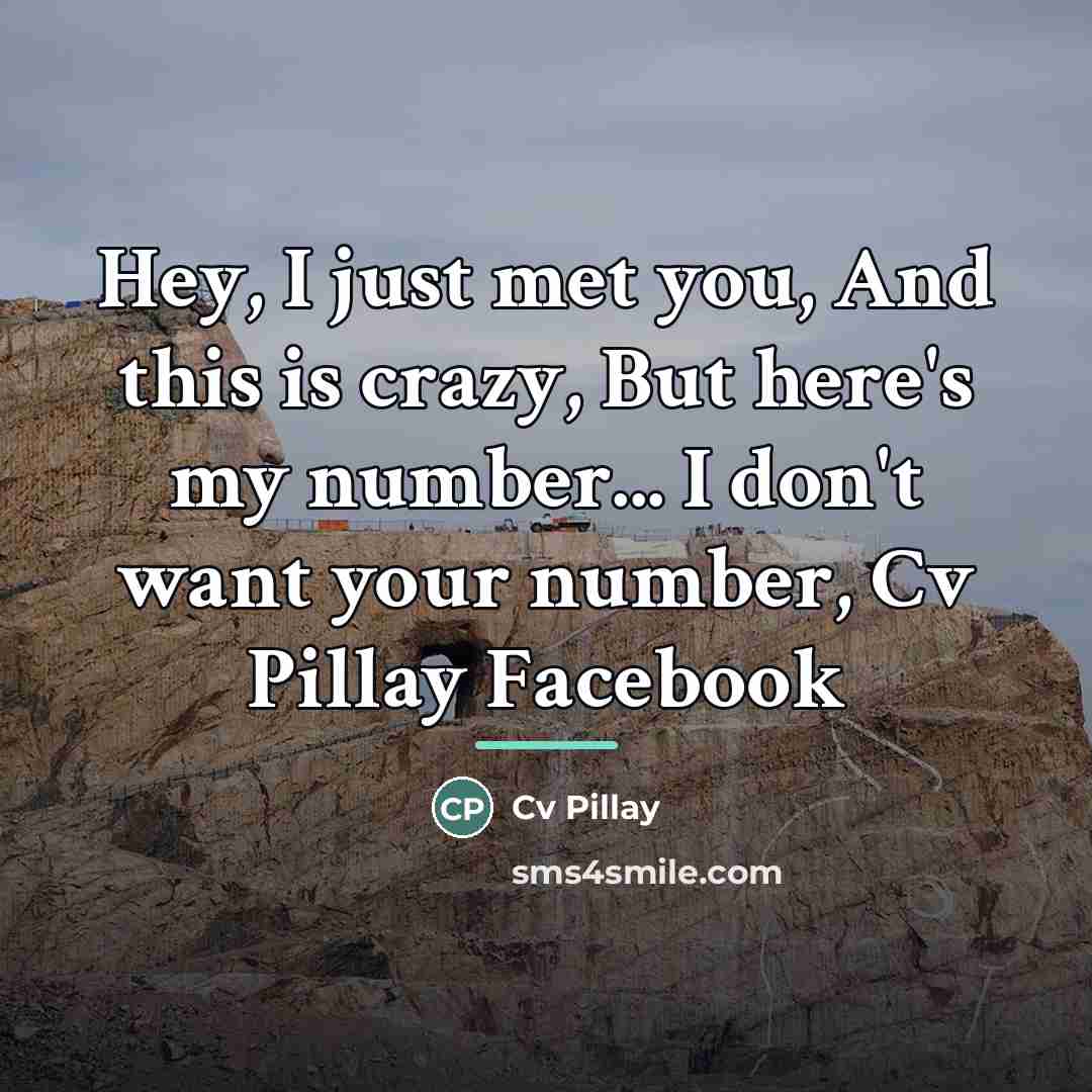“Hey, I just met you, And this is crazy, But…” quote by Cv Pillay