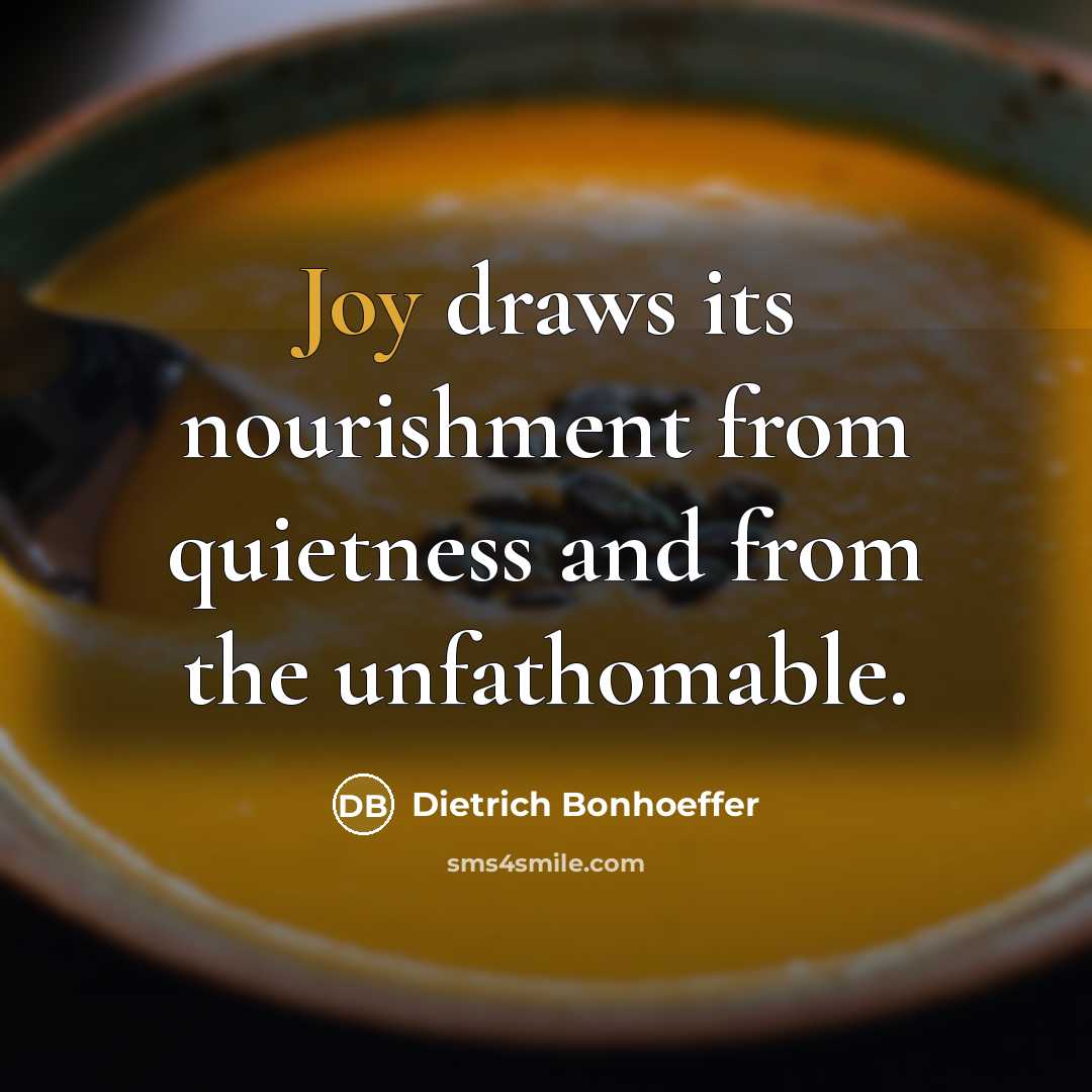 “Joy draws its nourishment from quietness and from the unfathomable.…” quote by Dietrich Bonhoeffer