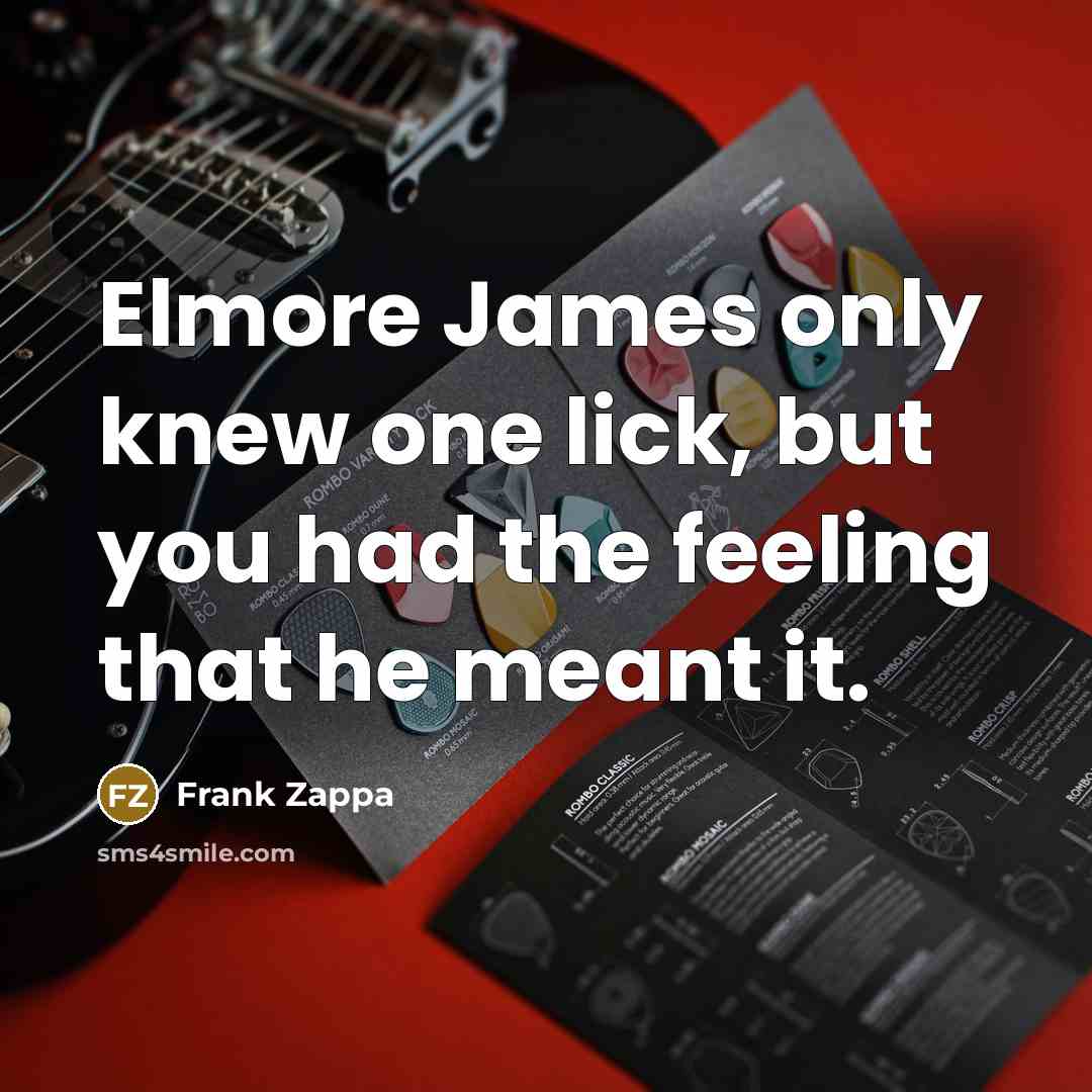 “Elmore James only knew one lick, but you had the…” quote by Frank Zappa