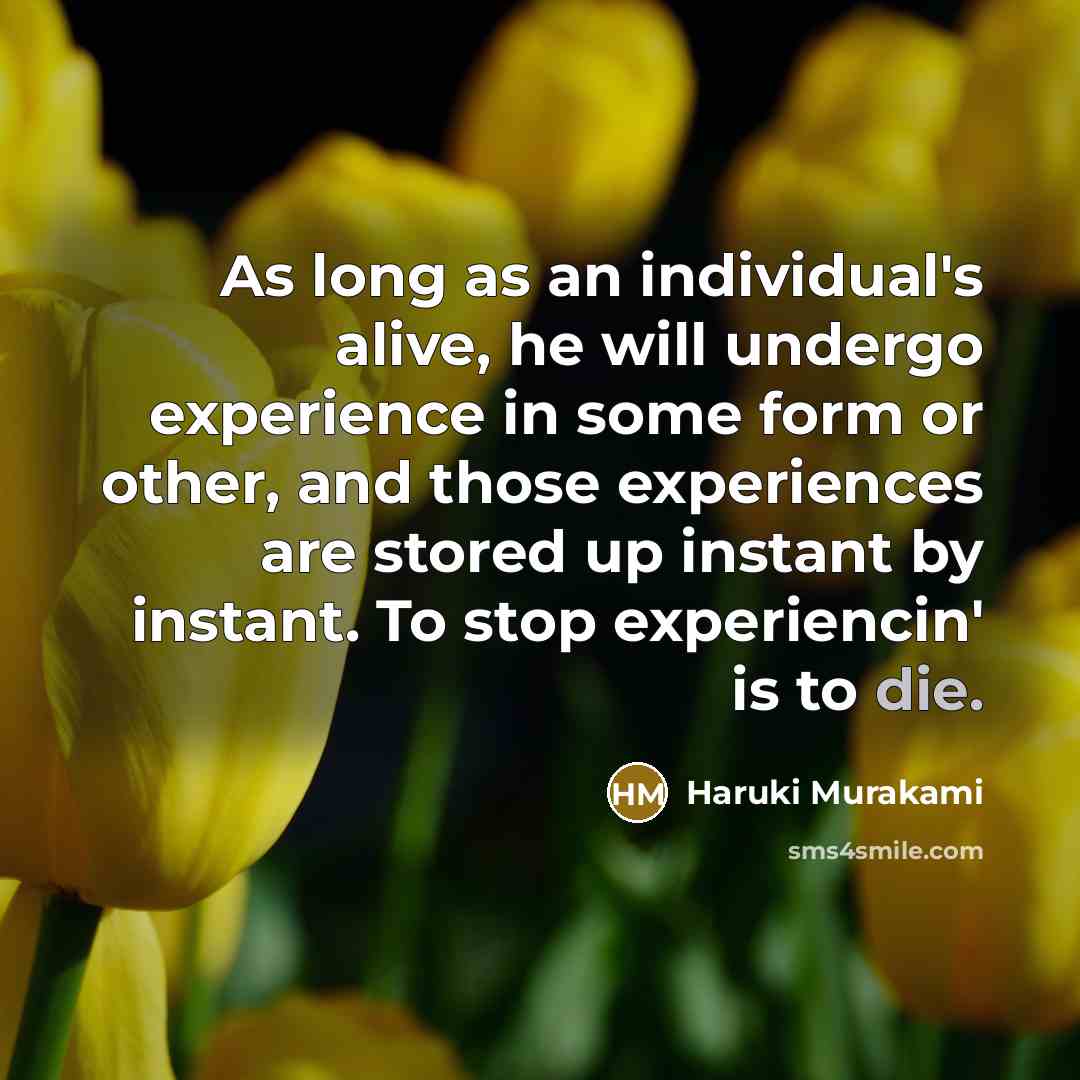 “As long as an individual's alive, he will undergo experience…” quote by Haruki Murakami