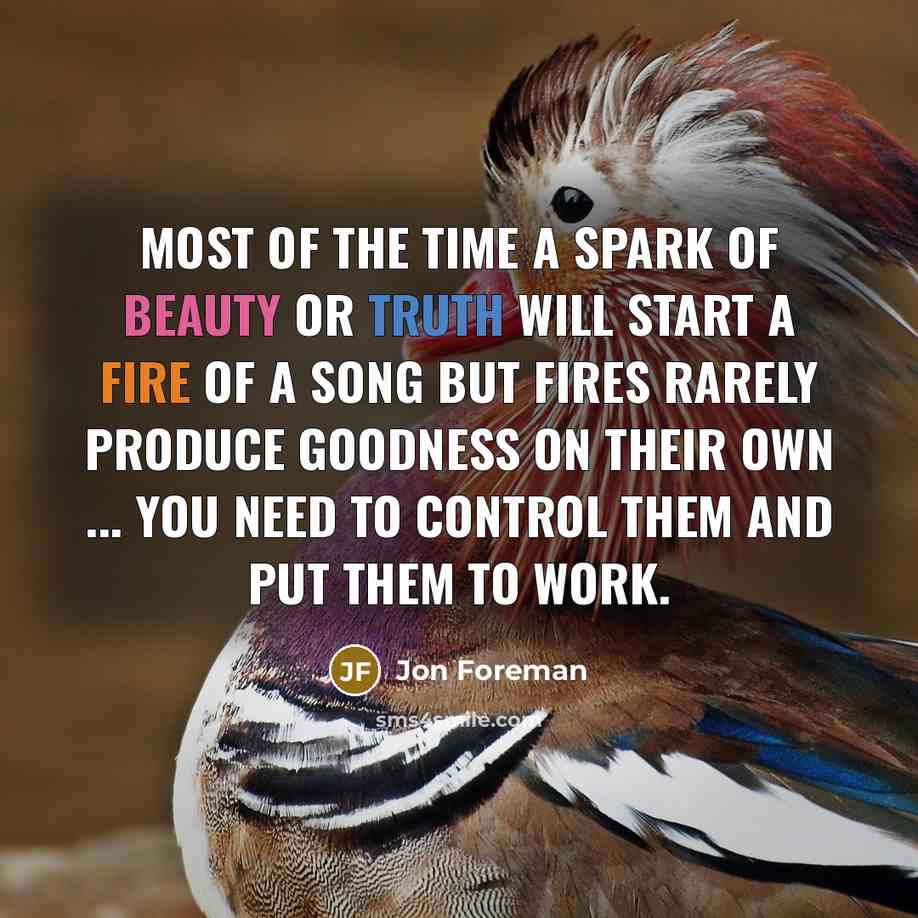 “Most of the time a spark of beauty or truth…” quote by Jon Foreman