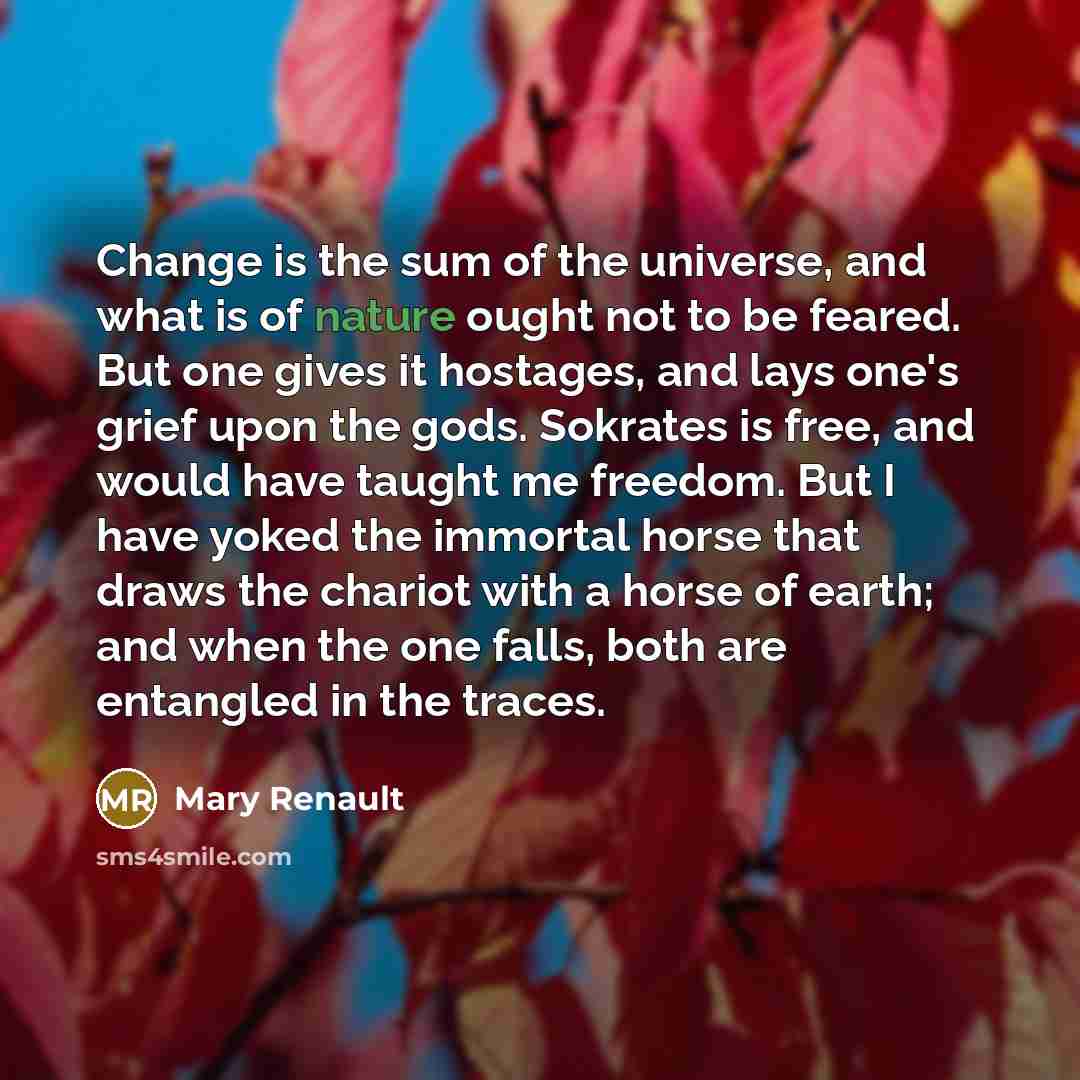 “Change is the sum of the universe, and what is…” quote by Mary Renault