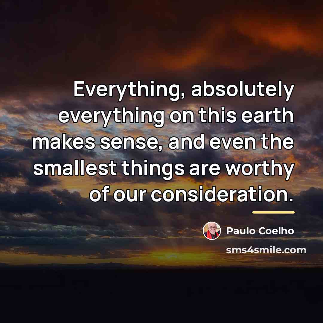“Everything, absolutely everything on this earth makes sense, and even…” quote by Paulo Coelho