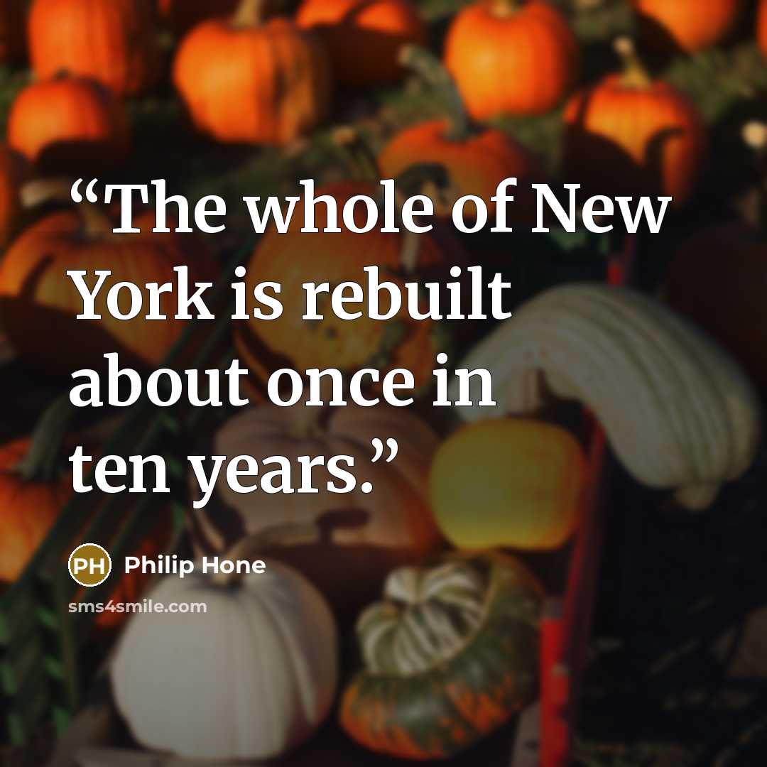 “The whole of New York is rebuilt about once in ten years.” quote by Philip Hone