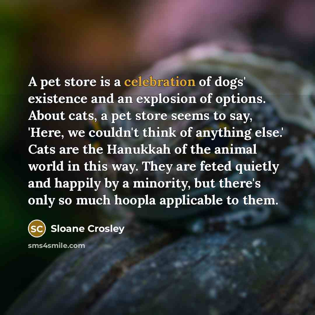 “A pet store is a celebration of dogs' existence and…” quote by Sloane Crosley