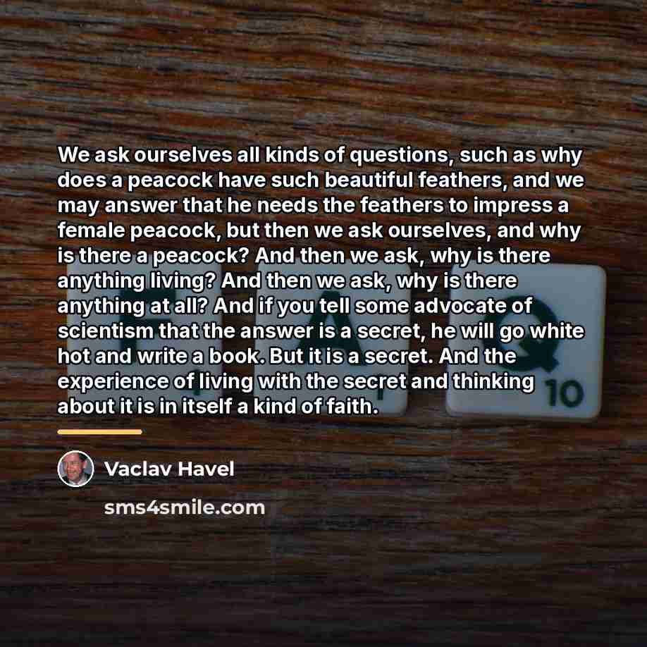 “We ask ourselves all kinds of questions, such as why…” quote by Vaclav Havel