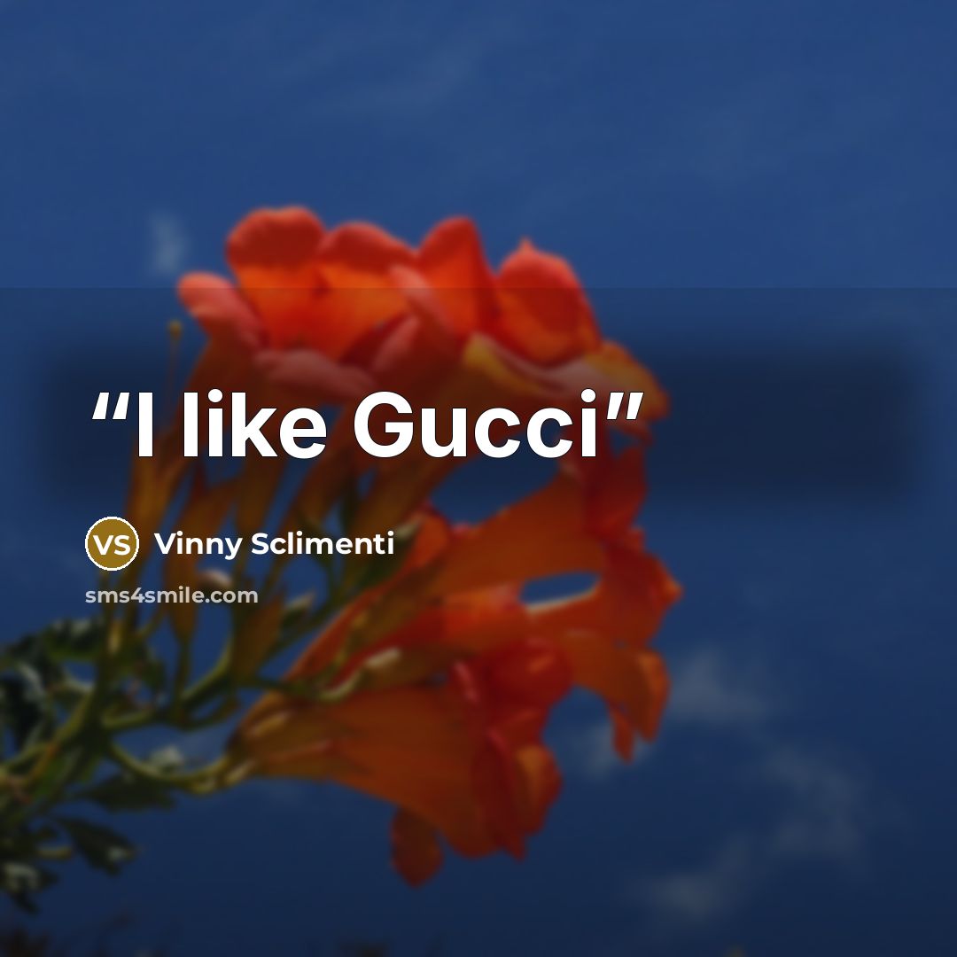 “I like Gucci” quote by Vinny Sclimenti