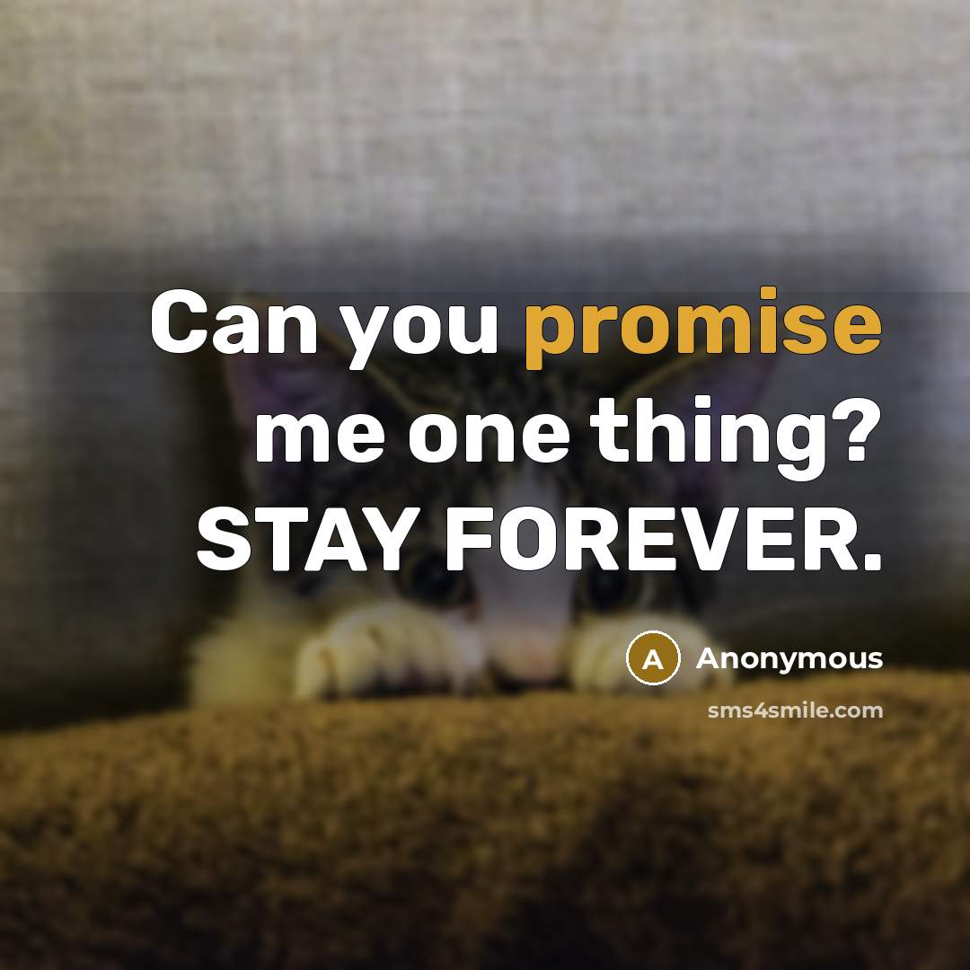 “Can you promise me one thing? STAY FOREVER.…” quote by Anonymous