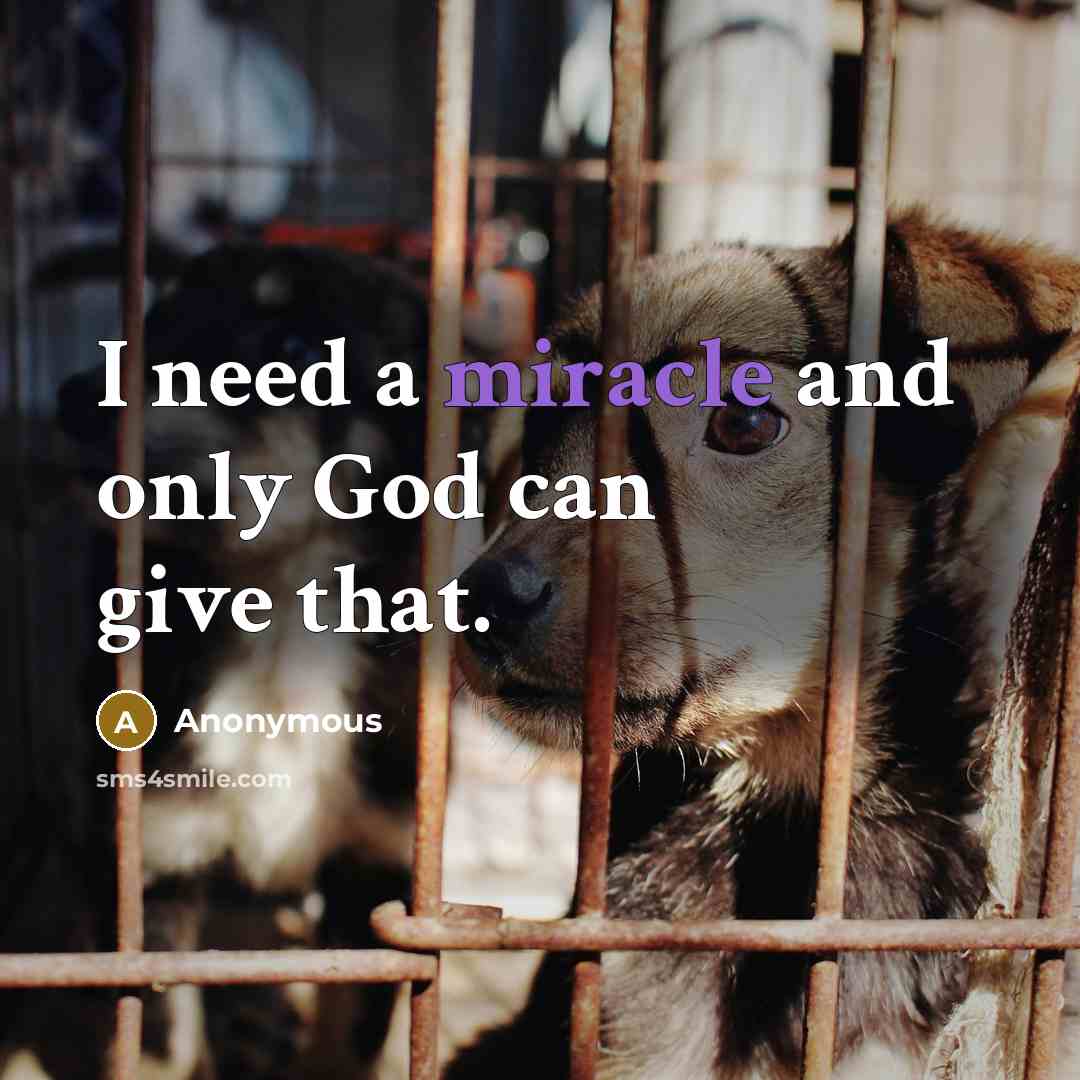 “I need a miracle and only God can give that.…” quote by Anonymous