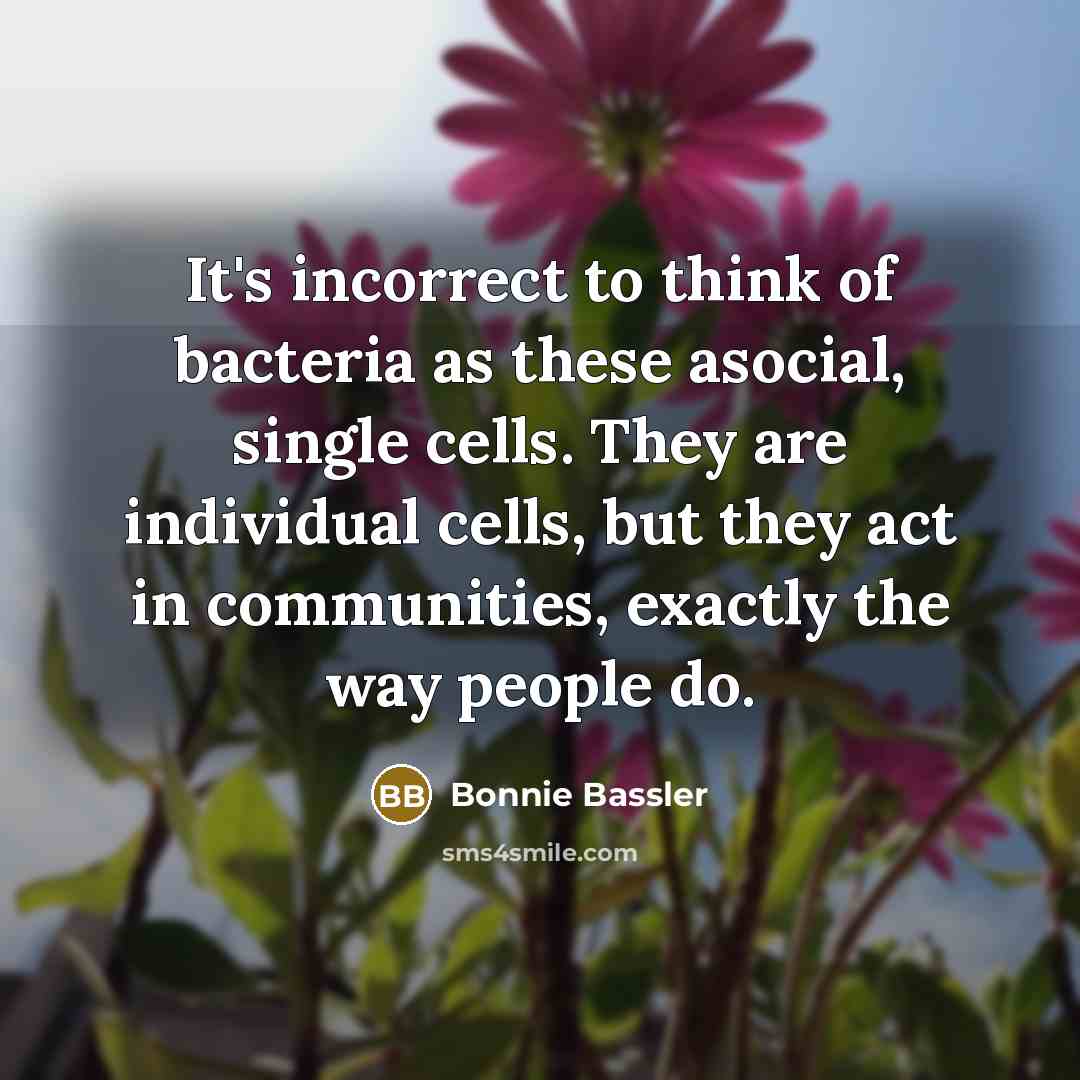 “It's incorrect to think of bacteria as these asocial, single…” quote by Bonnie Bassler